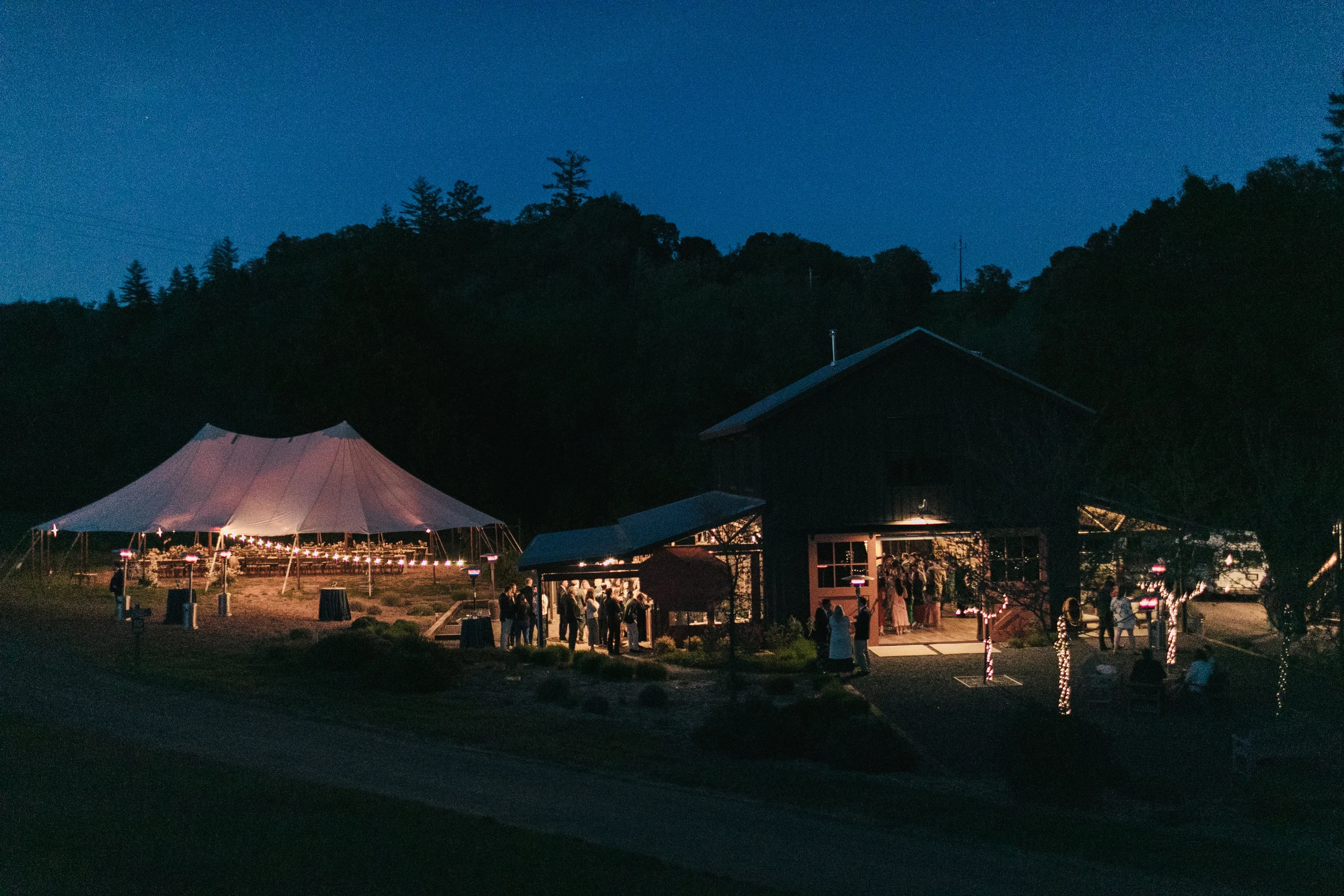 Whispertree at night